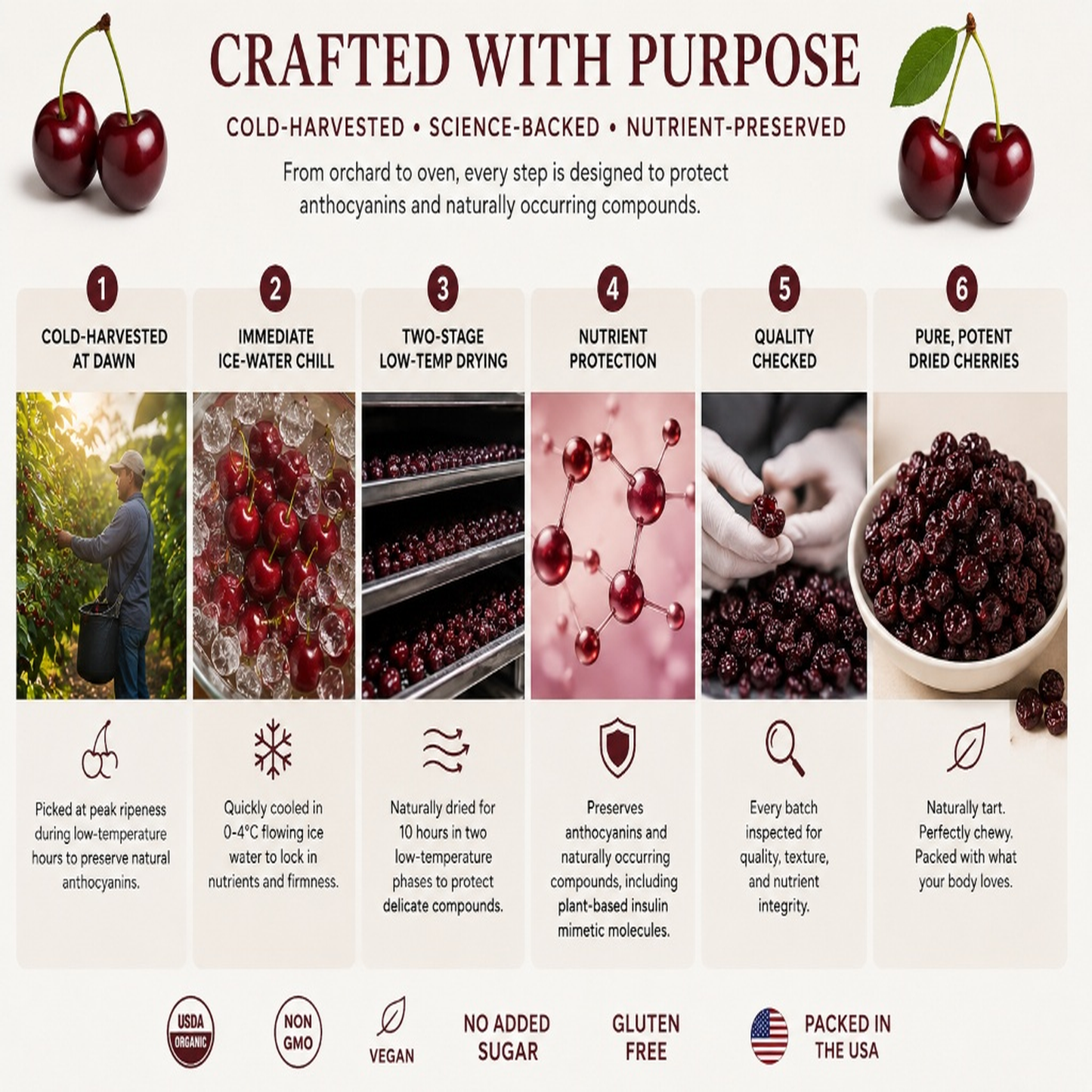 Say goodbye to high-calorie guilt! 🍒 Crush those stubborn cravings and fuel your body with our fiber-rich, active Tart Cherries-EV